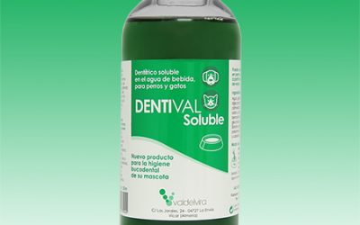 DENTIVAL SOLUBLE