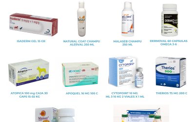 Descubre nuestros productos de Dermatología para Veterinarios
