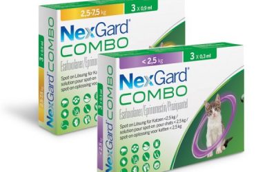 NexGard COMBO, la protección de más amplio espectro frente a ectoparásitos, nematodos y cestodos desarrollada específicamente para gatos