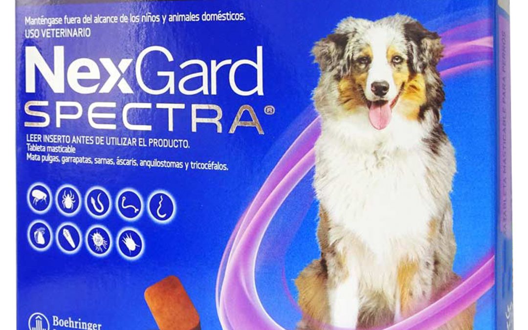 NexGard SPECTRA, Protección de amplio espectro para perros frente a parásitos externos e internos