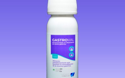 GastroVAL, alimento complementario recomendado en situaciones de estrés gástrico