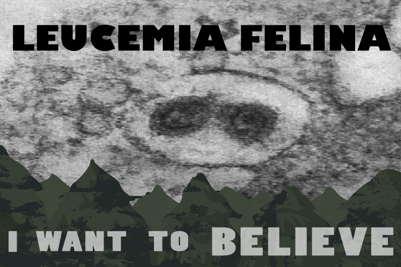 Charla “Leucemia felina, I Want To Believe” 08/02/23 a las 14 h