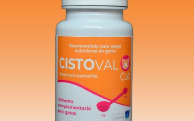 CistoVal Cat, alimento complementario para perros recomendado para el apoyo nutricional