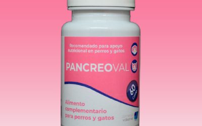 PancreoVal, Alimento complementario para perros y gatos