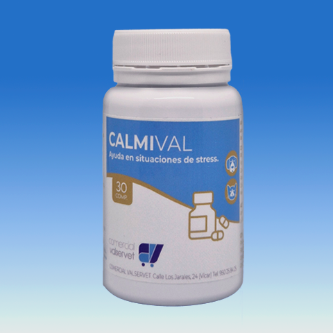 Calmival Frontal